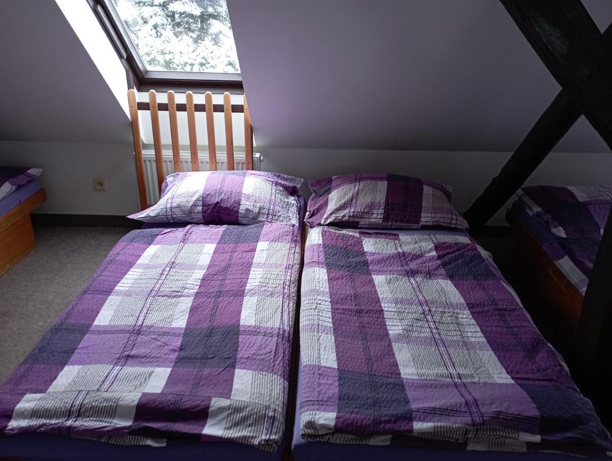 Penzion Hranicar Loučná pod Klínovcem Kültér fotó